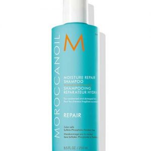 שמפו משקם מעניק לחות ריפר 250 מ"ל שמן מרוקאי MOROCCANOIL