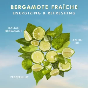 קרם גוף שמן מרוקאי 360 מ"ל – Bergamote Fraiche